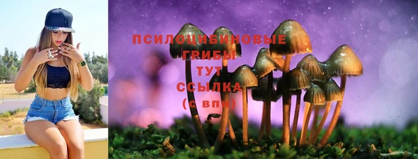apvp Арсеньев