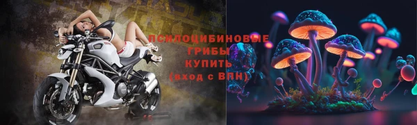 дживик Армянск