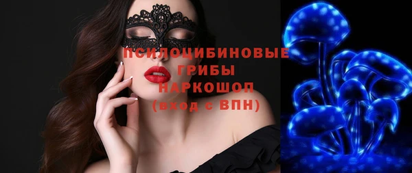 apvp Арсеньев