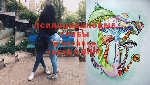 apvp Арсеньев